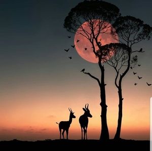 Meet your Posher, Eva